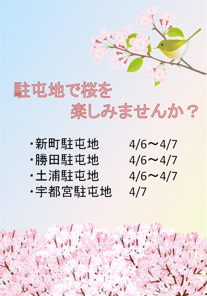 駐屯地で桜を楽しみませんか？　～関東地方②～画像