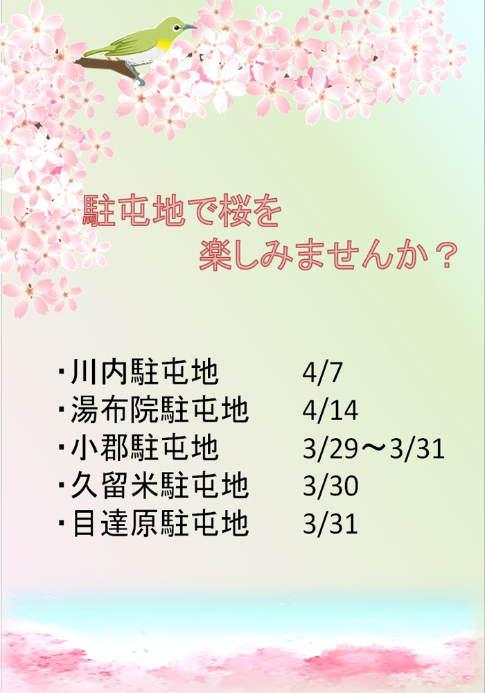 駐屯地で桜を楽しみませんか？　～九州地方～画像
