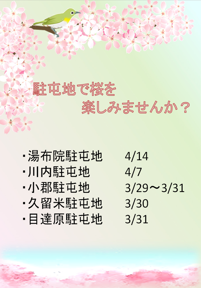 駐屯地で桜を楽しみませんか？　～九州地方～画像